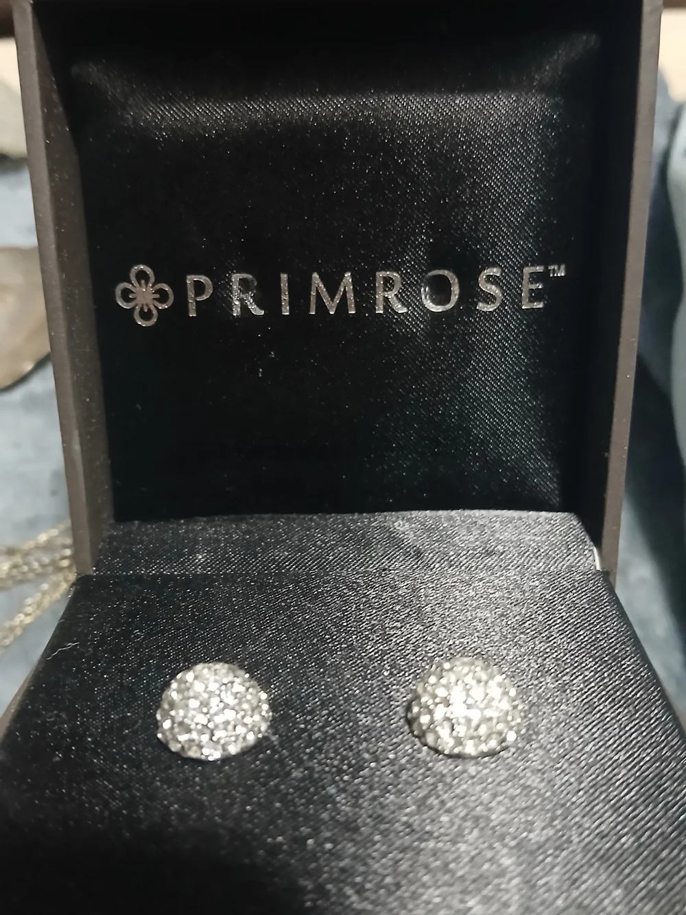 Primrose Sterling Silver Cubic Zirconia Pavé Stud Earrings - Silver